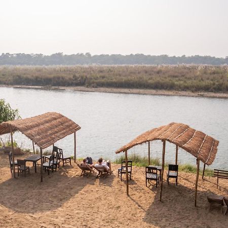 Jungle Wildlife Camp Hotel Sauraha Bagian luar foto
