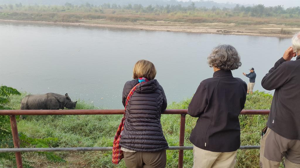 Jungle Wildlife Camp Hotel Sauraha Bagian luar foto