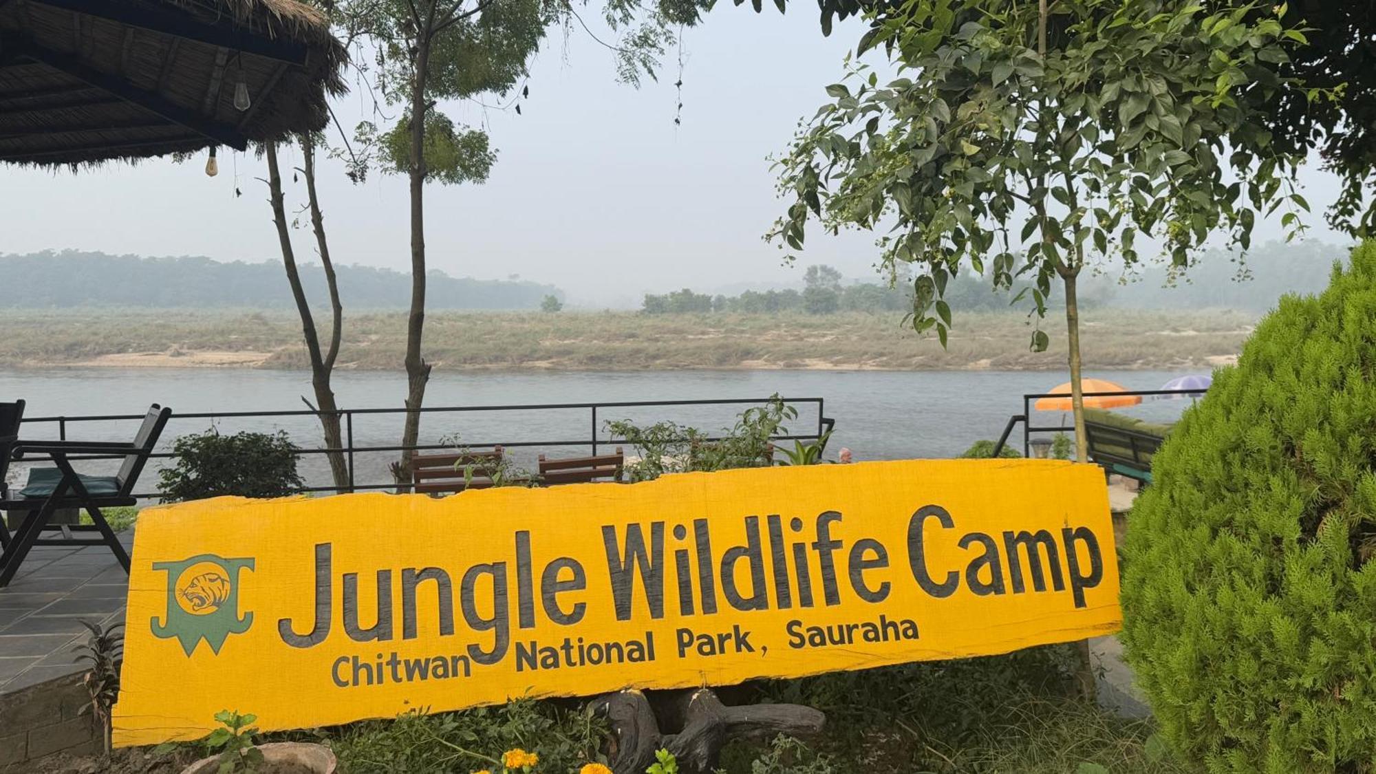 Jungle Wildlife Camp Hotel Sauraha Bagian luar foto