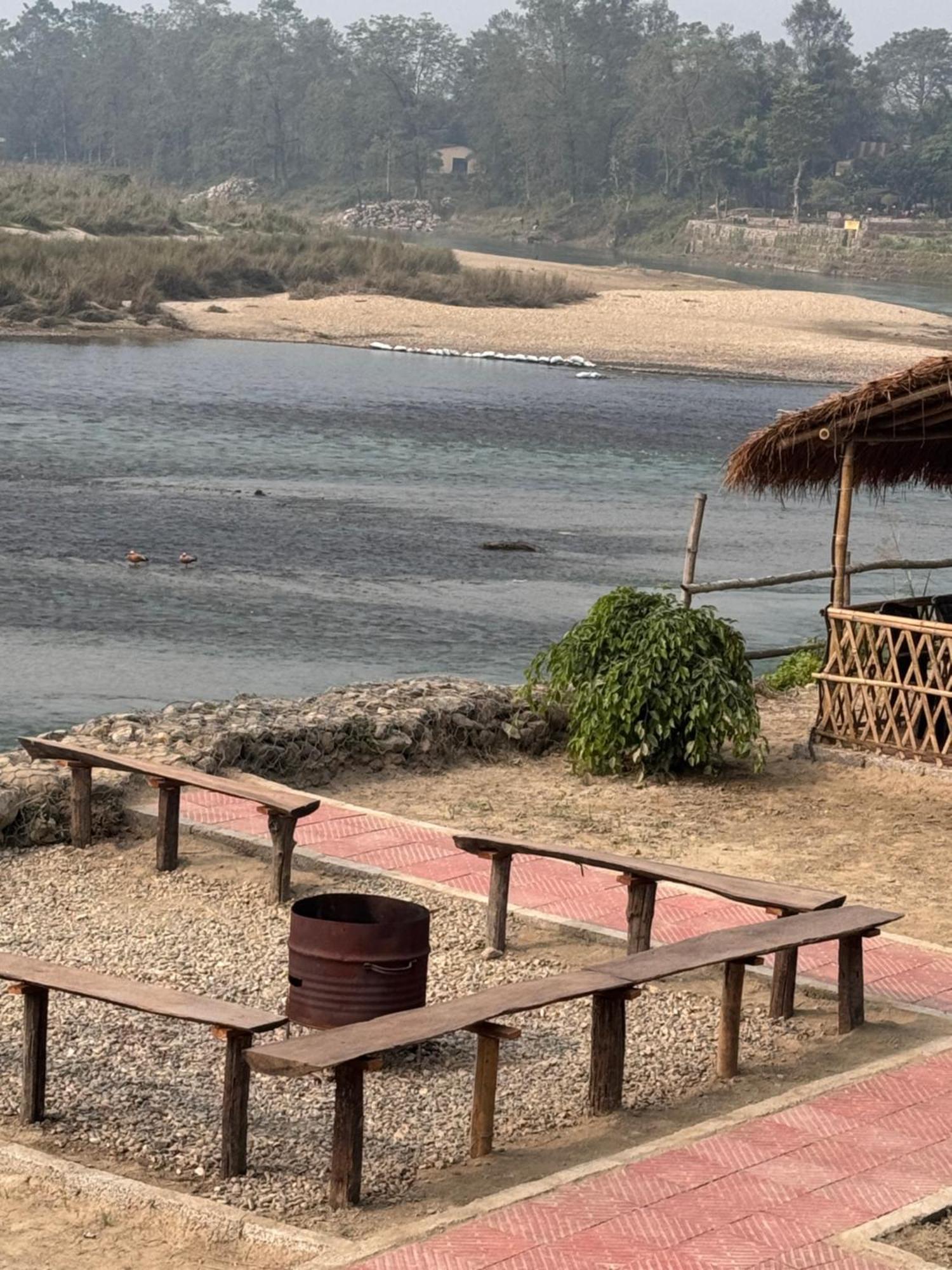 Jungle Wildlife Camp Hotel Sauraha Bagian luar foto