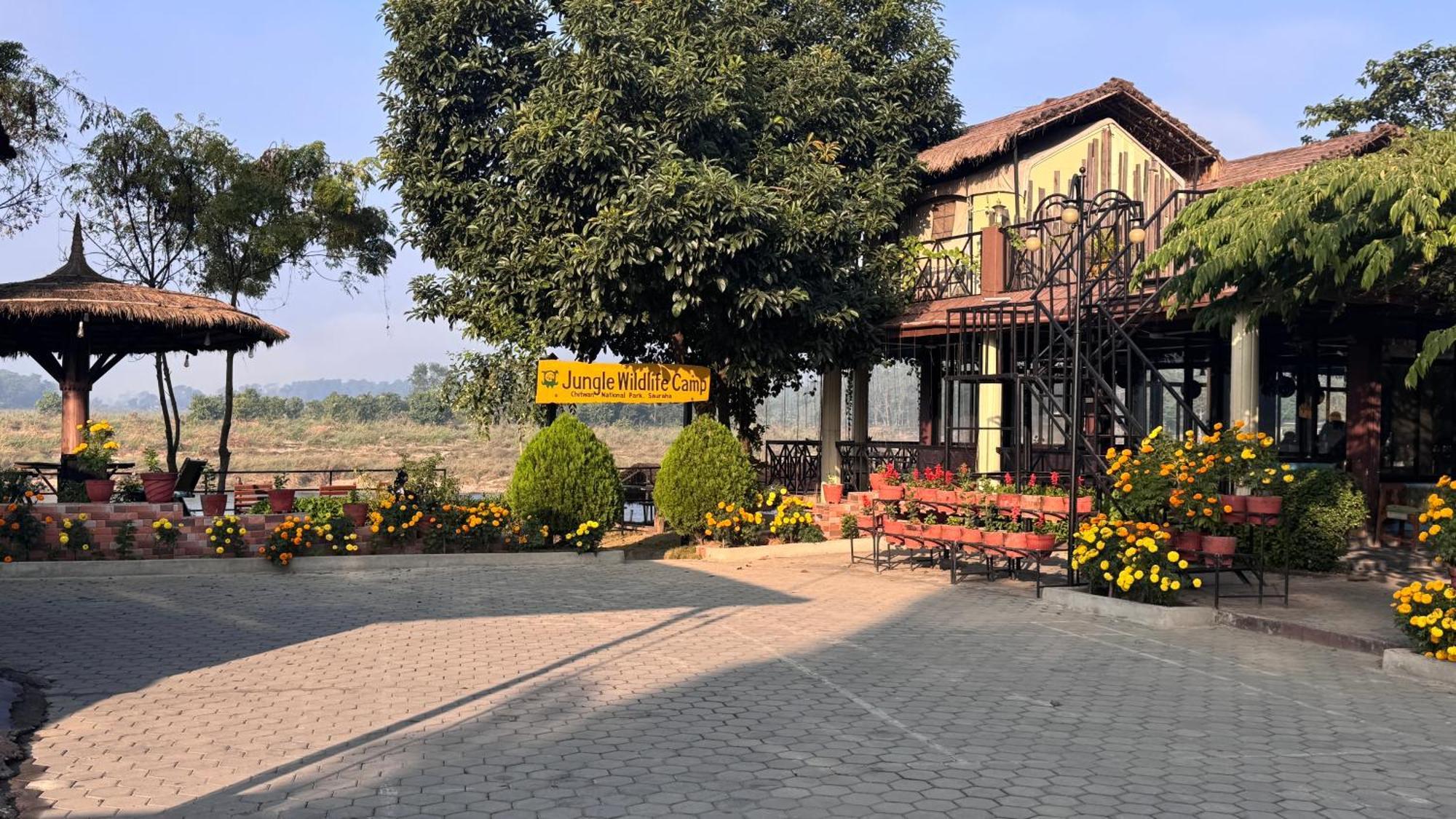 Jungle Wildlife Camp Hotel Sauraha Bagian luar foto