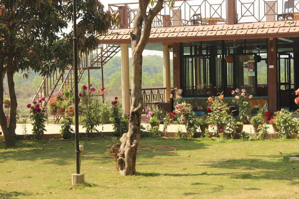 Jungle Wildlife Camp Hotel Sauraha Bagian luar foto