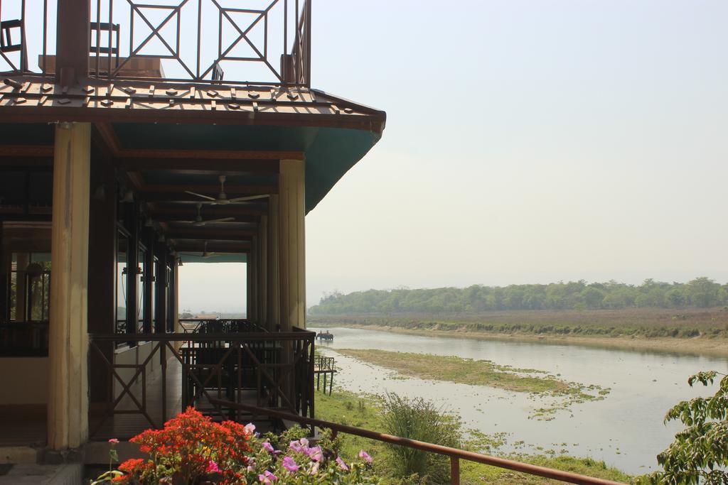 Jungle Wildlife Camp Hotel Sauraha Bagian luar foto