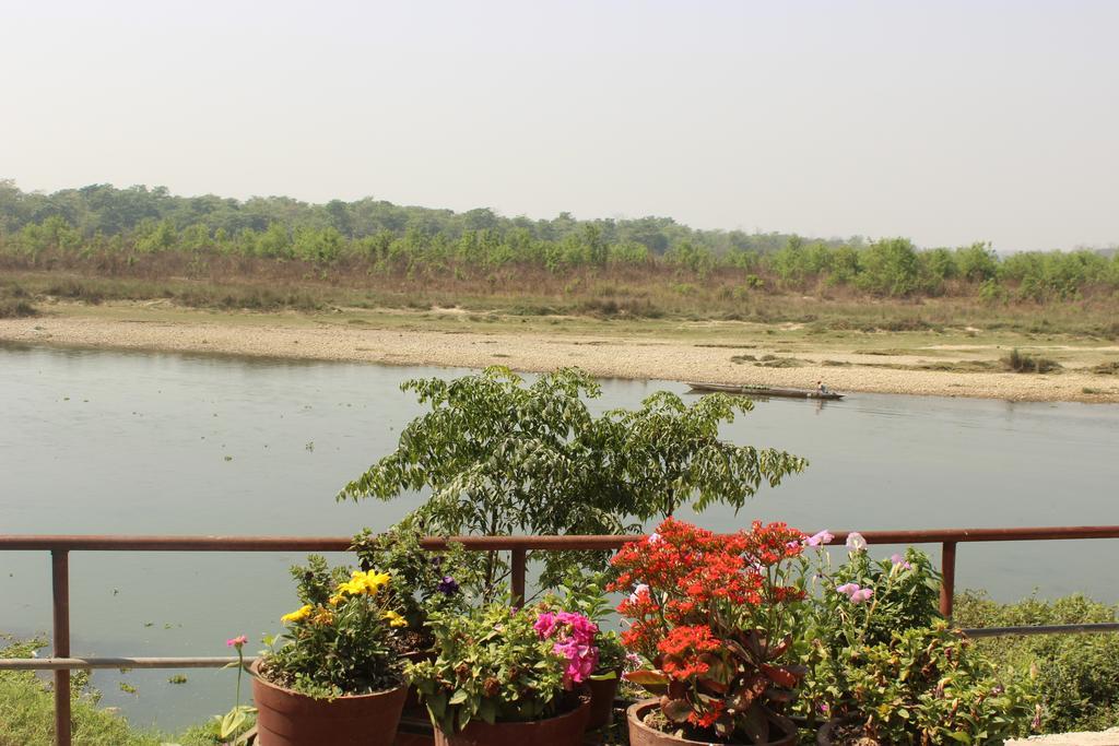Jungle Wildlife Camp Hotel Sauraha Bagian luar foto