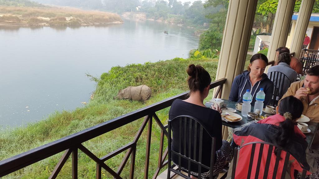 Jungle Wildlife Camp Hotel Sauraha Bagian luar foto