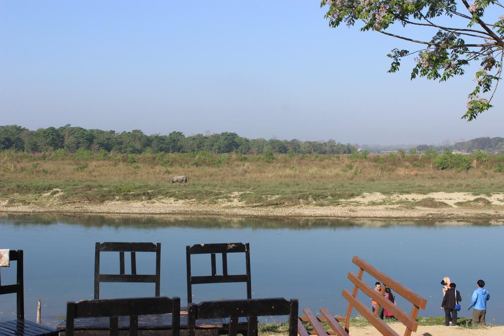 Jungle Wildlife Camp Hotel Sauraha Bagian luar foto