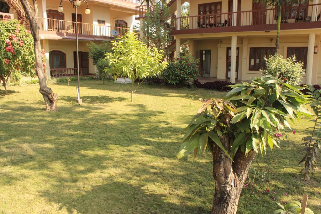Jungle Wildlife Camp Hotel Sauraha Bagian luar foto