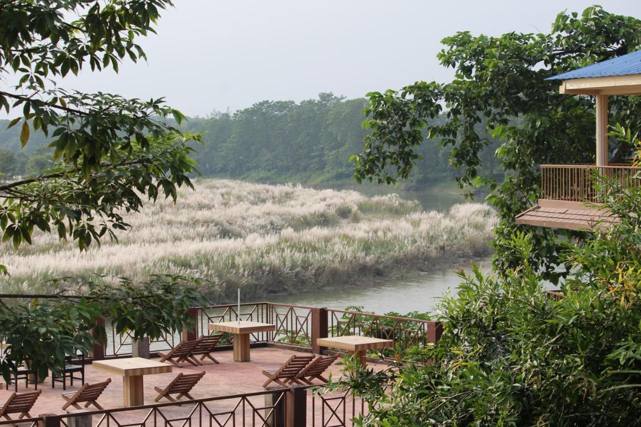Jungle Wildlife Camp Hotel Sauraha Bagian luar foto