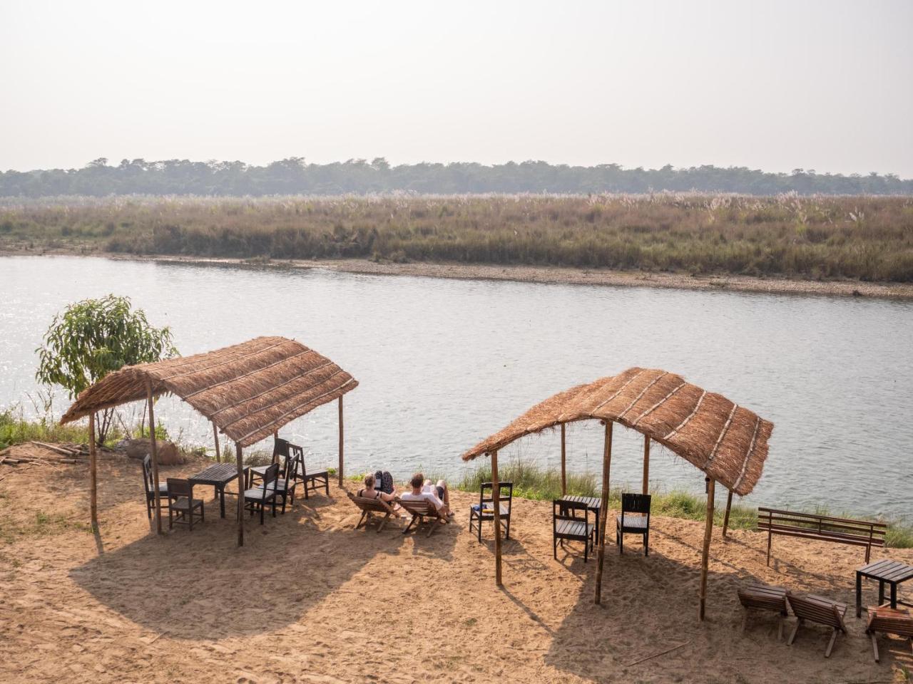 Jungle Wildlife Camp Hotel Sauraha Bagian luar foto