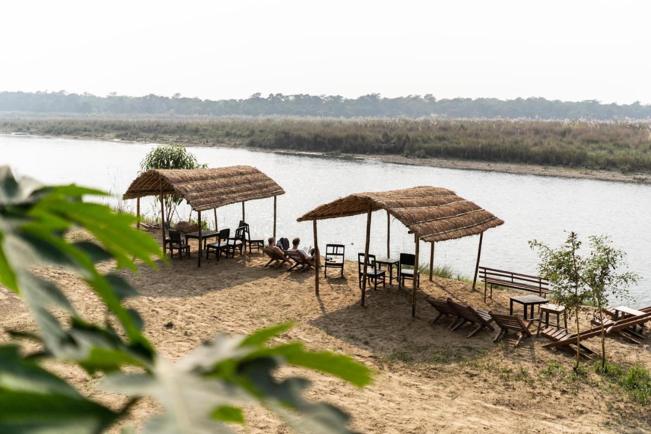 Jungle Wildlife Camp Hotel Sauraha Bagian luar foto