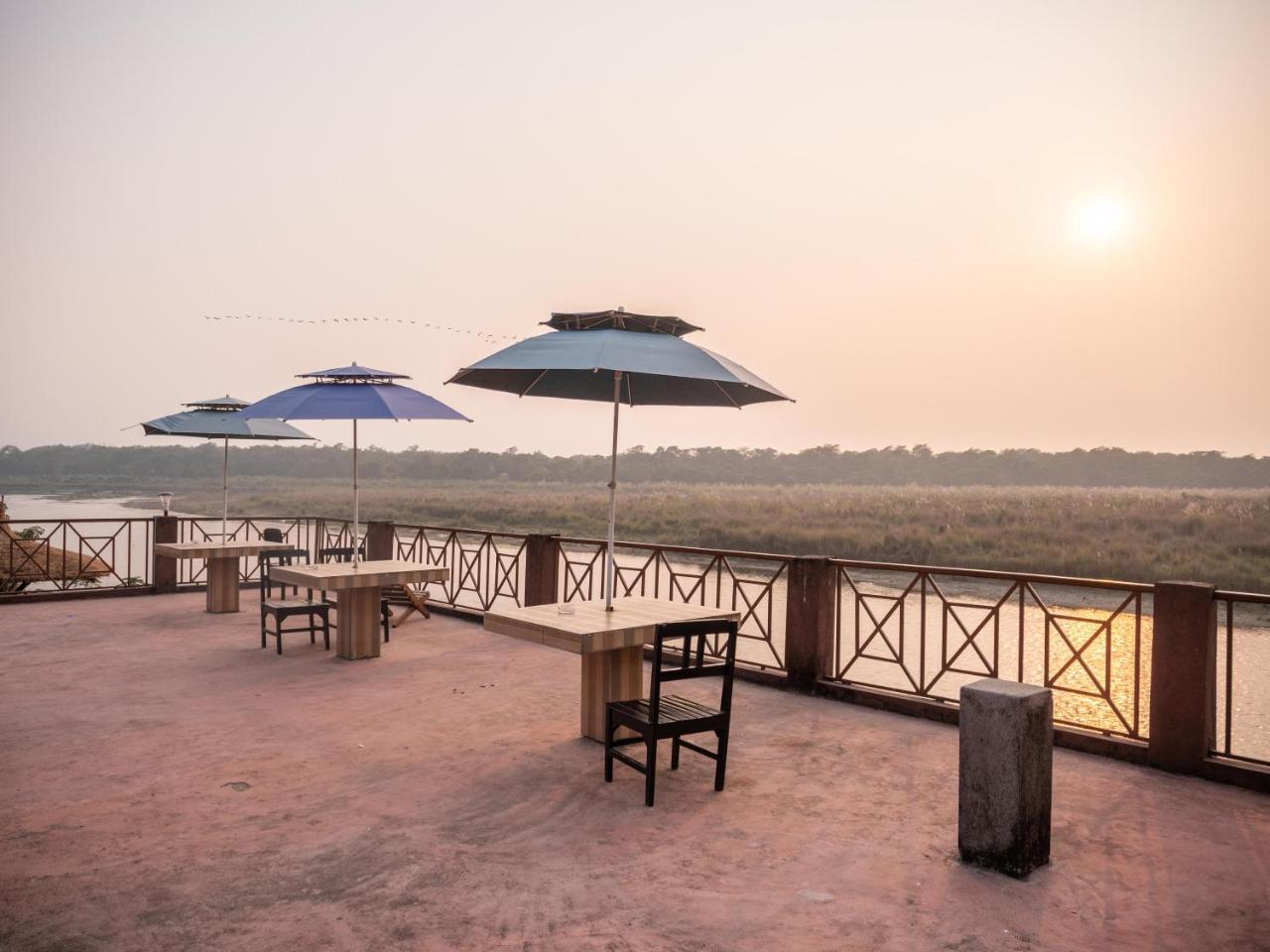 Jungle Wildlife Camp Hotel Sauraha Bagian luar foto