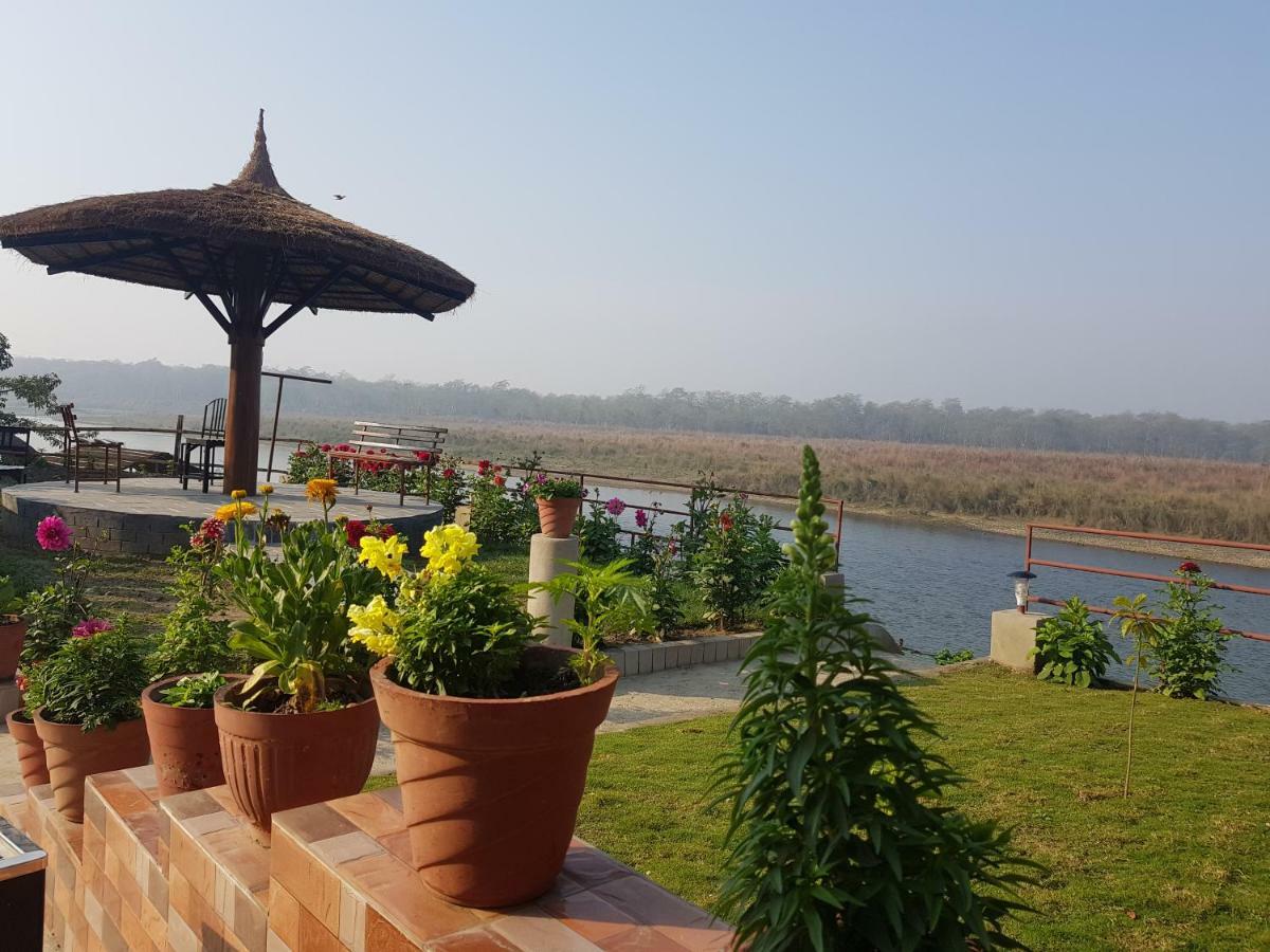 Jungle Wildlife Camp Hotel Sauraha Bagian luar foto