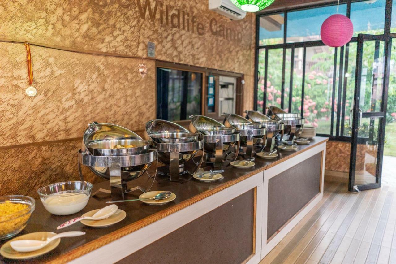Jungle Wildlife Camp Hotel Sauraha Bagian luar foto